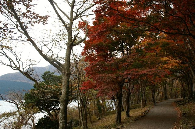 20071123_hakonetrip_008